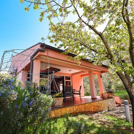 Holiday Home Cvita Sukošan エクステリア 写真