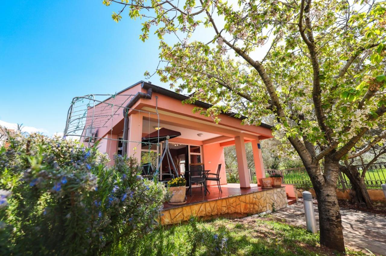 Holiday Home Cvita Sukošan エクステリア 写真